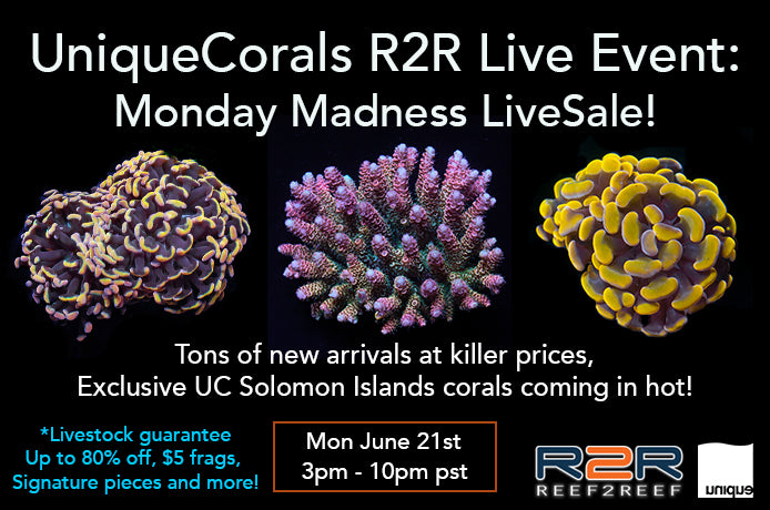 Monday Madness LivieSale Flash Sale June 21st 3pm-10pm pst