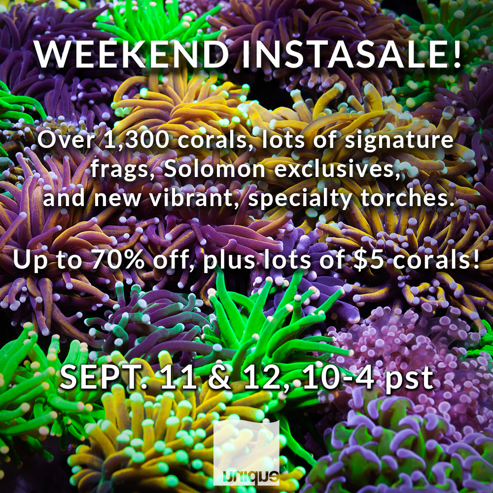 Weekend Instasale! Sept 11 & 12